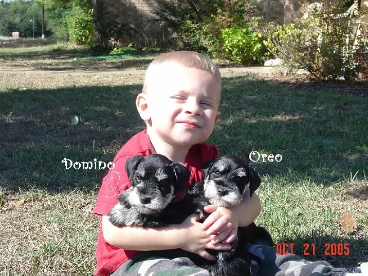 Mandy 2 B S Babies Kelton